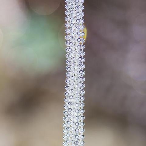 silver chic bra straps replacement